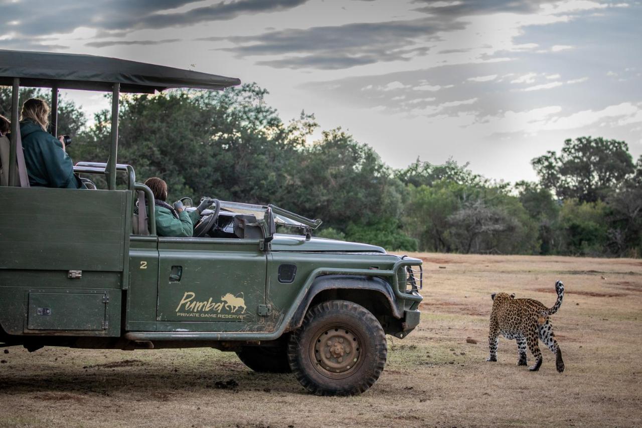 Pumba Private Game Reserve Grahamstown Exteriér fotografie