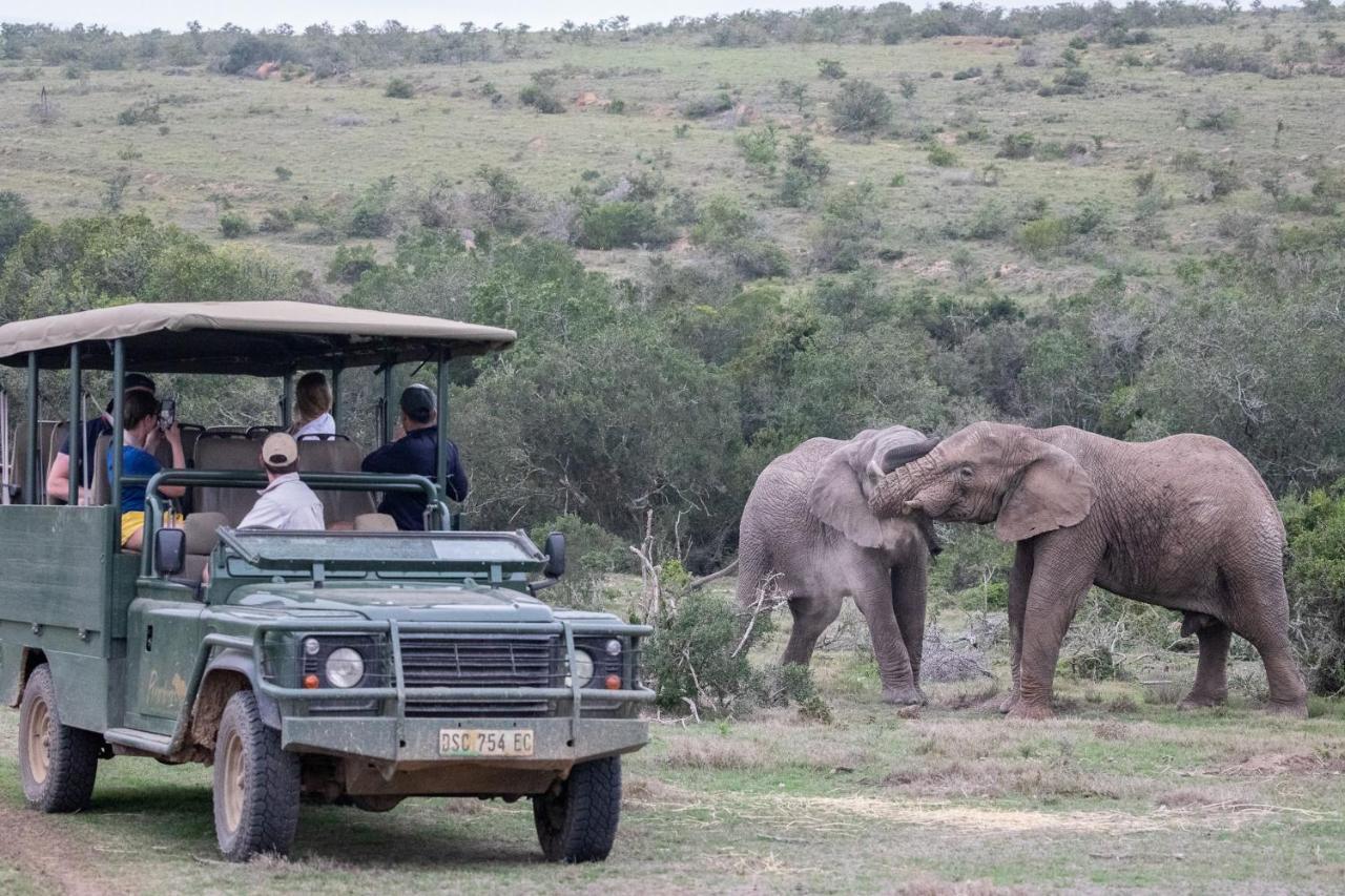 Pumba Private Game Reserve Grahamstown Exteriér fotografie