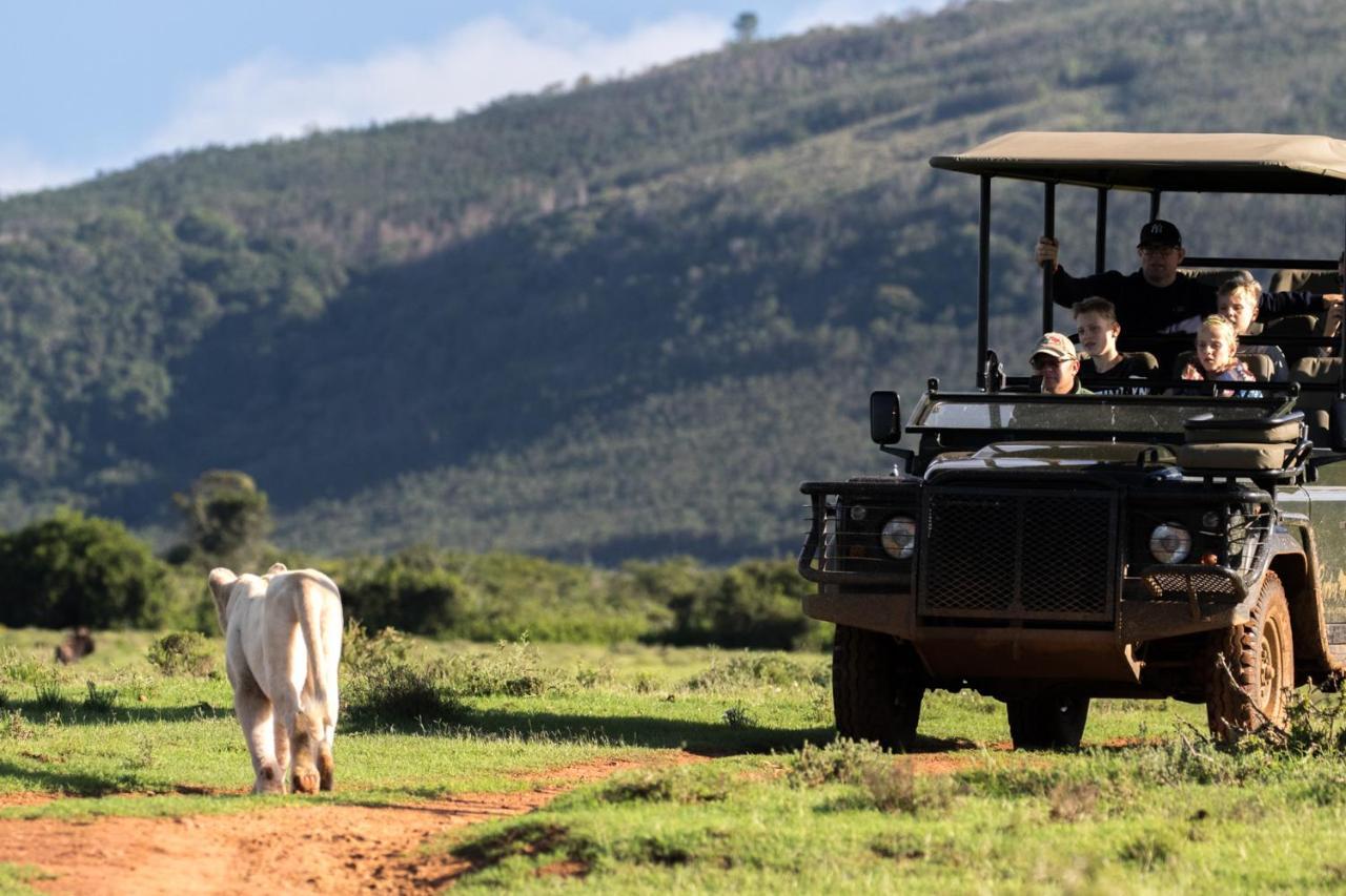 Pumba Private Game Reserve Grahamstown Exteriér fotografie