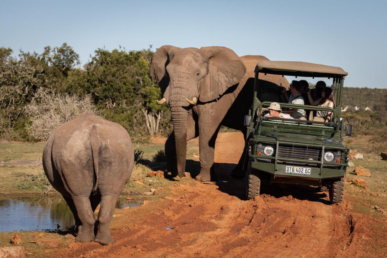 Pumba Private Game Reserve Grahamstown Exteriér fotografie