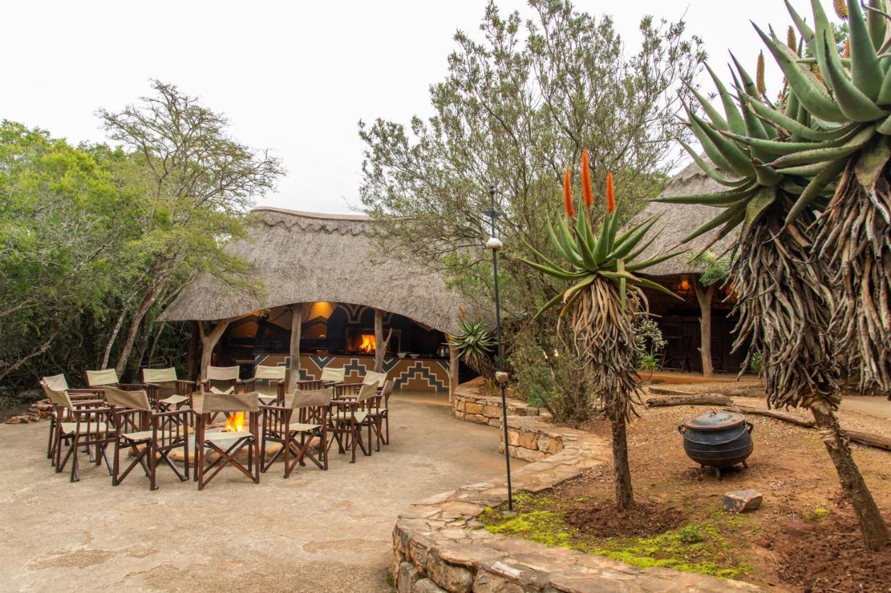 Pumba Private Game Reserve Grahamstown Exteriér fotografie